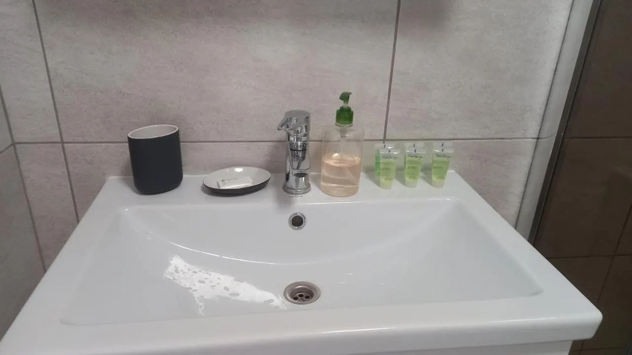 Domkolviv Apartment